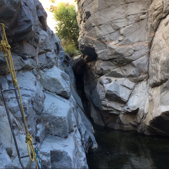 Meet your Posher, Paul - Picture 5 of 14